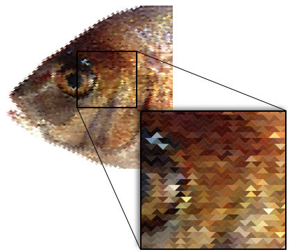 pixel_fish.png